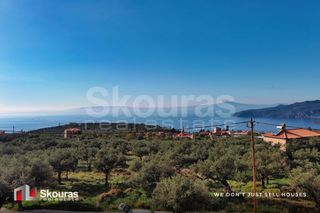 Οικόπεδο 289 τ.μ. για πώληση, Μεσσηνία, Λεύκτρος-thumb-19