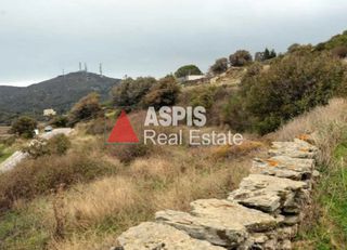 Αγροτεμάχια 2.004,24 τ.μ. για πώληση