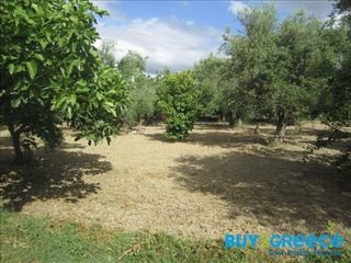 Οικόπεδο 2.300 τ.μ. για πώληση, Αχαΐα, Πάτρα-thumb-4