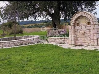 Οικόπεδο 260.000 τ.μ. για πώληση
