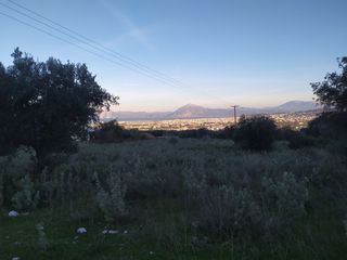 Οικόπεδο 5.300 τ.μ. για πώληση, Αχαΐα, Μεσσατίδα-thumb-1