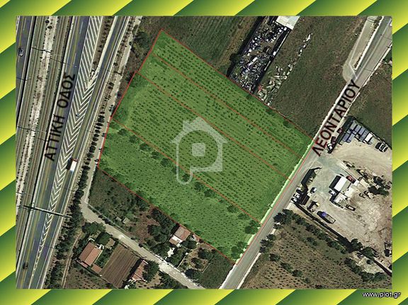 Parcel 8.932 sqm for rent, Athens - East, Paiania