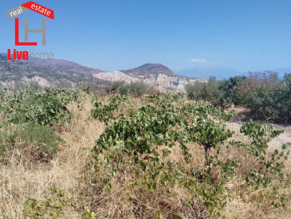 Αγροτεμάχια 17.000 τ.μ. πρός πώληση, Κορινθία, Ξυλόκαστρο