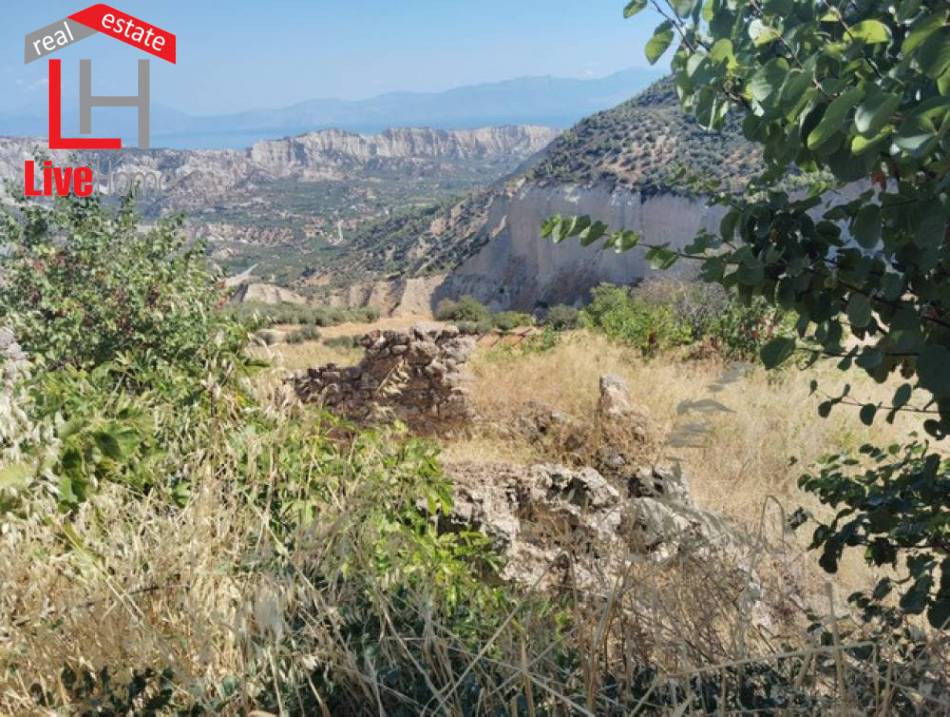 Αγροτεμάχια 17.000 τ.μ. πρός πώληση, Κορινθία, Ξυλόκαστρο