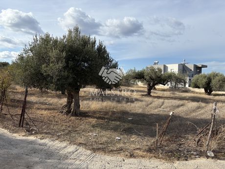 Οικόπεδο 1.270 τ.μ. πρός πώληση