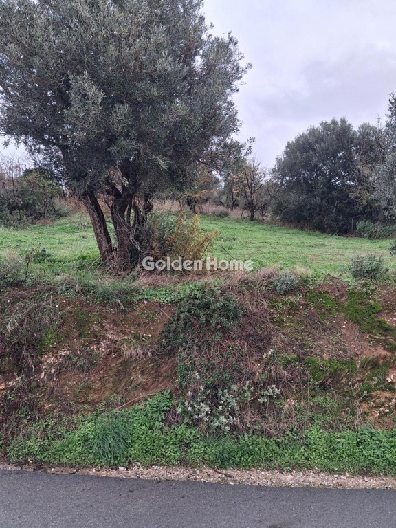 Οικόπεδο 520 τ.μ. προς πώληση, Αχλαδερή