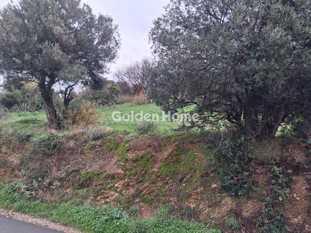 Οικόπεδο 520 τ.μ. προς πώληση, Αχλαδερή