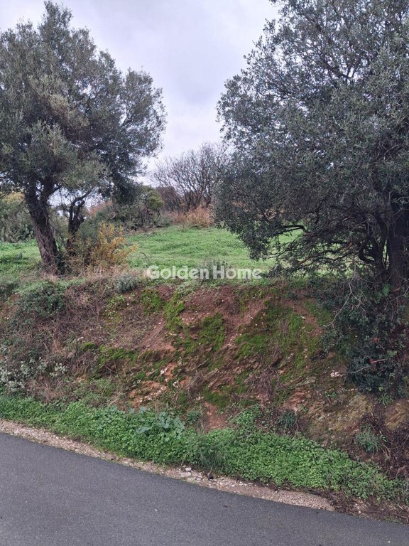 Οικόπεδο 520 τ.μ. προς πώληση, Αχλαδερή