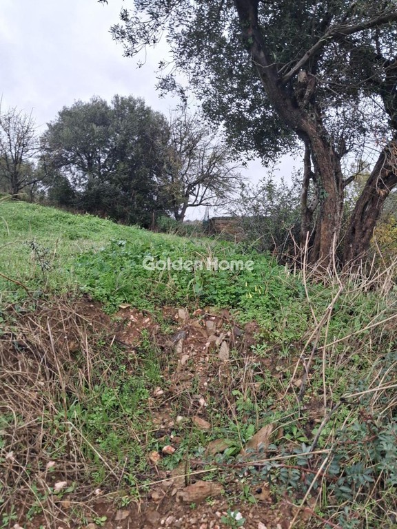 Οικόπεδο 520 τ.μ. προς πώληση, Αχλαδερή