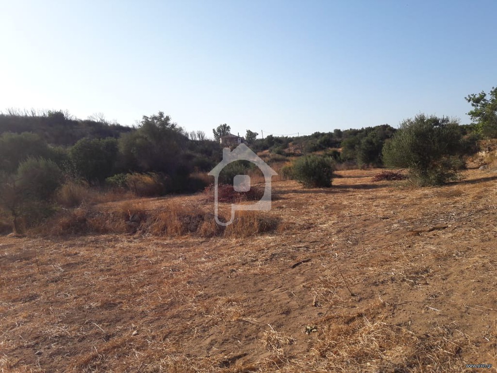 Αγροτεμάχια 8.362 τ.μ. προς πώληση, Κέντρο Βοιών