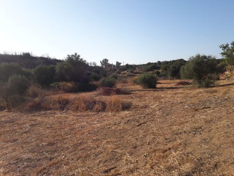 Αγροτεμάχια 8.362 τ.μ. προς πώληση