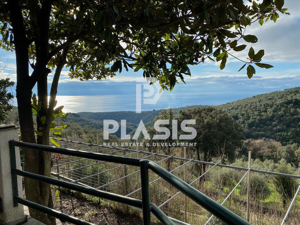 Μονοκατοικία 210 τ.μ. πρός πώληση, Μαγνησία, Αφέτες