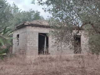 Οικόπεδο 6.600 τ.μ. για πώληση, Μεσσηνία, Φιλιατρά-thumb-23