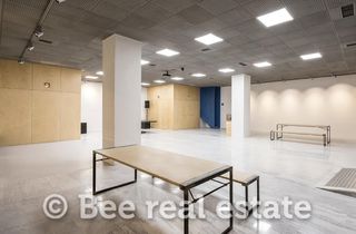 Κατάστημα 357 τ.μ. για ενοικίαση, Θεσσαλονίκη - Κέντρο, Βαρδάρης-thumb-11