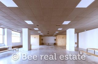 Κατάστημα 357 τ.μ. για ενοικίαση, Θεσσαλονίκη - Κέντρο, Βαρδάρης-thumb-10