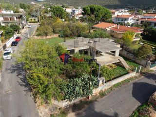 Land plot 505 sqm for sale