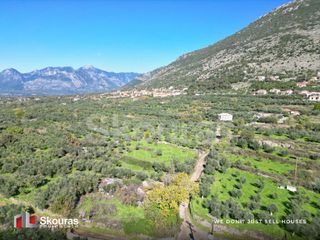Οικόπεδο 1.111,50 τ.μ. για πώληση, Μεσσηνία, Λεύκτρος-thumb-7