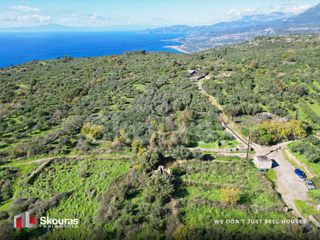 Οικόπεδο 1.111,50 τ.μ. για πώληση, Μεσσηνία, Λεύκτρος-thumb-13