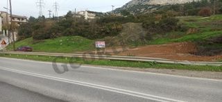 Αγροτεμάχια 6.044 τ.μ. για πώληση