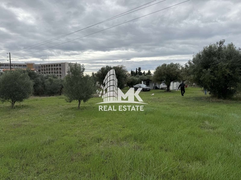 Οικόπεδο 3.493 τ.μ. προς πώληση, Σκάλα Γερακινής