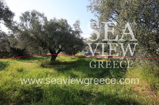 Αγροτεμάχια 2.300 τ.μ. για πώληση, Αργολίδα, Λέρνα-thumb-6
