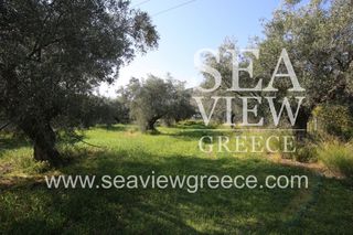 Αγροτεμάχια 2.300 τ.μ. για πώληση, Αργολίδα, Λέρνα-thumb-7