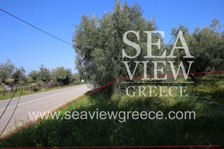 Αγροτεμάχια 2.300 τ.μ. για πώληση, Αργολίδα, Λέρνα-thumb-5