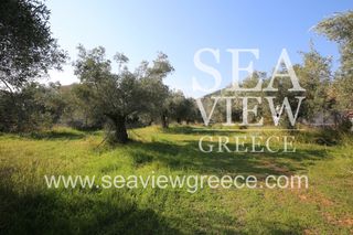 Αγροτεμάχια 2.300 τ.μ. για πώληση, Αργολίδα, Λέρνα-thumb-13