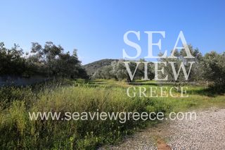 Αγροτεμάχια 2.300 τ.μ. για πώληση, Αργολίδα, Λέρνα-thumb-11