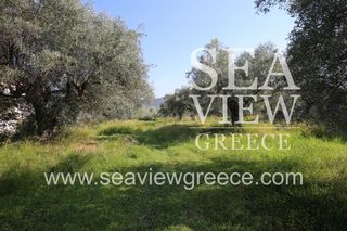 Αγροτεμάχια 2.300 τ.μ. για πώληση, Αργολίδα, Λέρνα-thumb-8