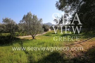 Αγροτεμάχια 2.300 τ.μ. για πώληση, Αργολίδα, Λέρνα-thumb-9