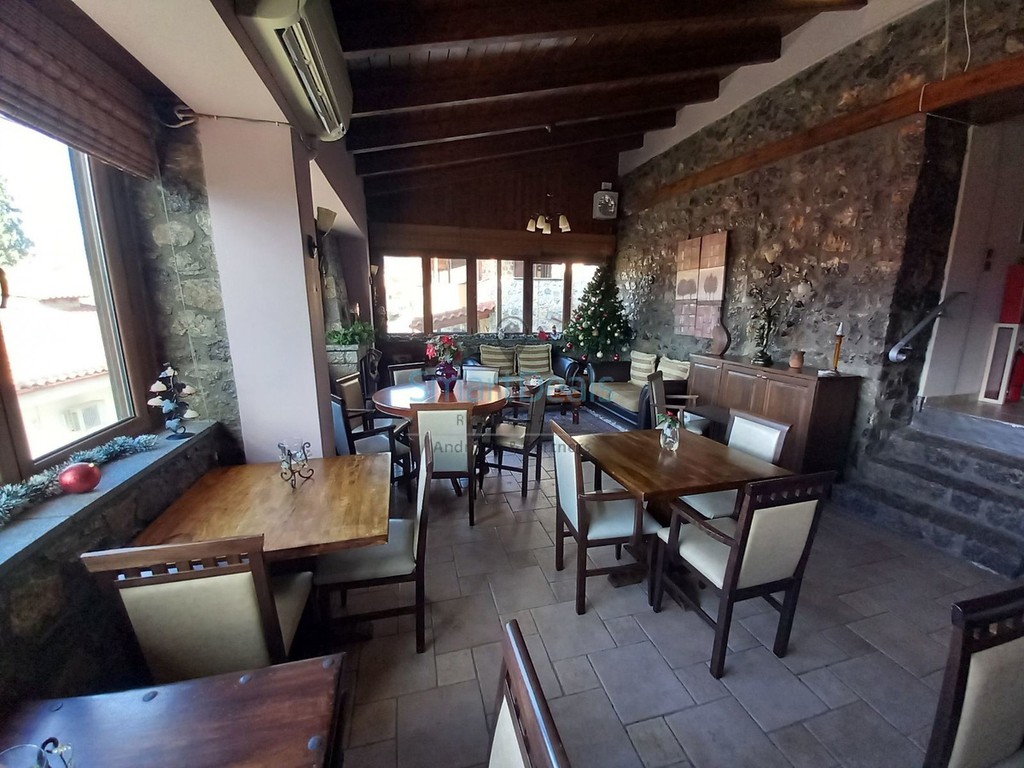 Ξενοδοχείο 360 τ.μ. προς πώληση, Κέντρο Ελάτειας