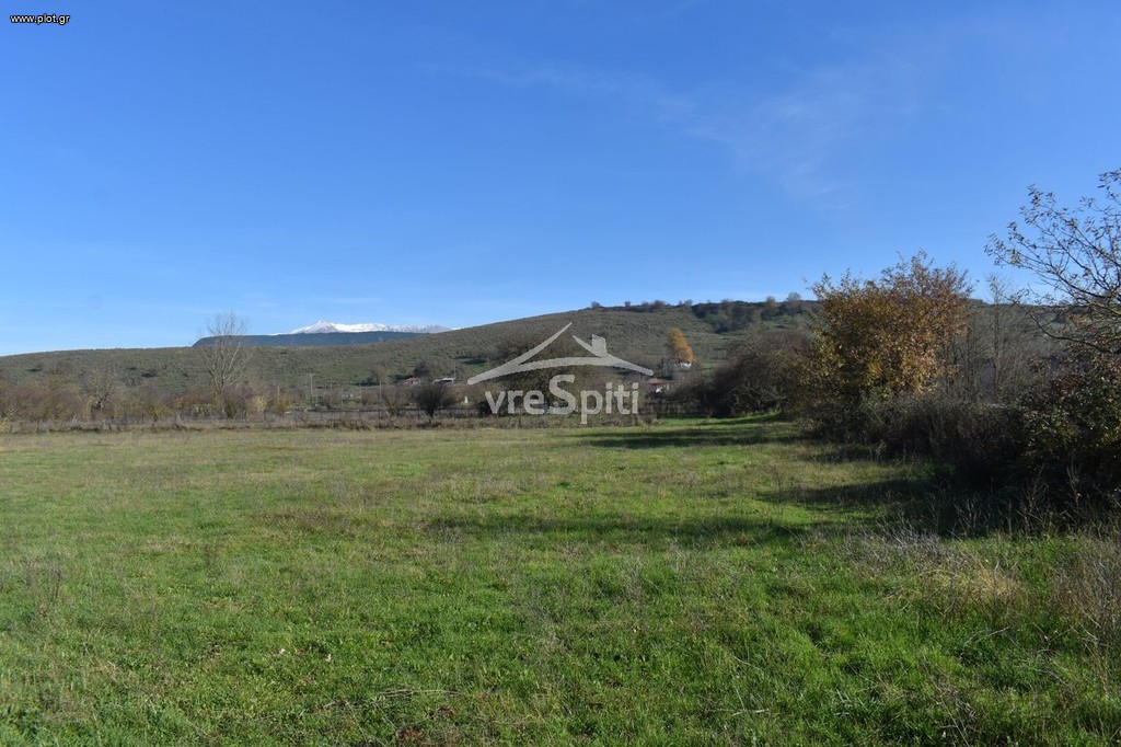 Αγροτεμάχια 4.400 τ.μ. πρός πώληση, Ν. Ιωαννίνων, Παμβωτίδα
