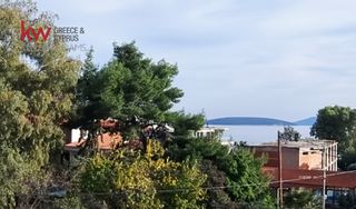 Studio / γκαρσονιέρα 36,90 τ.μ. για πώληση, Αργολίδα, Ασίνη-thumb-16