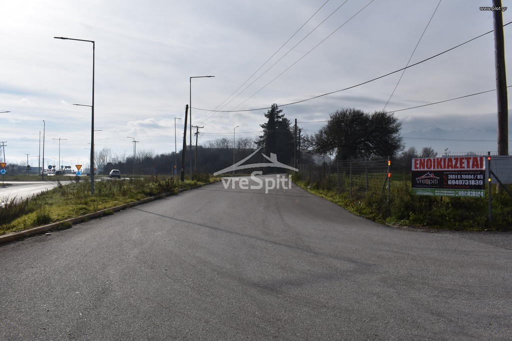 Αγροτεμάχια 4.200 τ.μ. προς ενοικίαση, Ν. Ιωαννίνων, Ιωάννινα