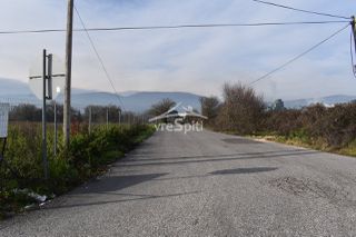 Αγροτεμάχια 4.200 τ.μ. πρός ενοικίαση, Ν. Ιωαννίνων, Ιωάννινα-thumb-5