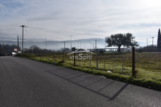Αγροτεμάχια 4.200 τ.μ. πρός ενοικίαση, Ν. Ιωαννίνων, Ιωάννινα-thumb-9
