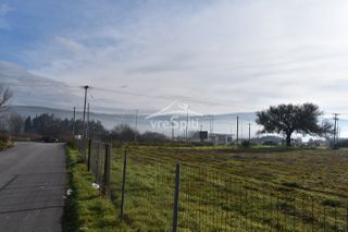 Αγροτεμάχια 4.200 τ.μ. πρός ενοικίαση, Ν. Ιωαννίνων, Ιωάννινα-thumb-12