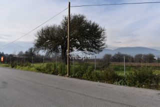 Αγροτεμάχια 4.200 τ.μ. πρός ενοικίαση, Ν. Ιωαννίνων, Ιωάννινα-thumb-17