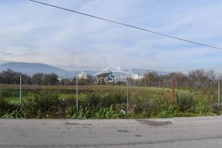 Αγροτεμάχια 4.200 τ.μ. πρός ενοικίαση, Ν. Ιωαννίνων, Ιωάννινα-thumb-18