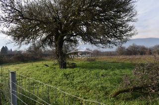 Αγροτεμάχια 4.200 τ.μ. πρός ενοικίαση, Ν. Ιωαννίνων, Ιωάννινα-thumb-20