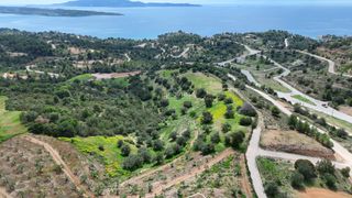 Αγροτεμάχια 8.043 τ.μ. για πώληση, Αργολίδα, Κρανίδι-thumb-1