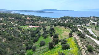 Αγροτεμάχια 8.043 τ.μ. για πώληση, Αργολίδα, Κρανίδι-thumb-24