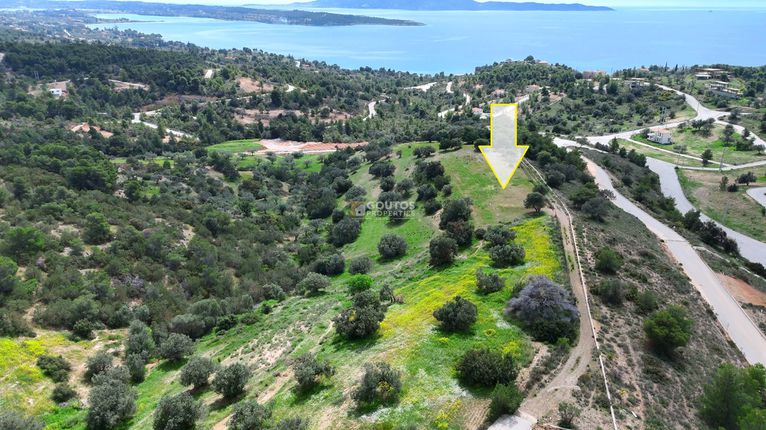 Αγροτεμάχια 8.043 τ.μ. για πώληση, Αργολίδα, Κρανίδι