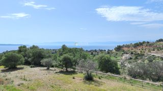 Αγροτεμάχια 8.043 τ.μ. για πώληση, Αργολίδα, Κρανίδι-thumb-6