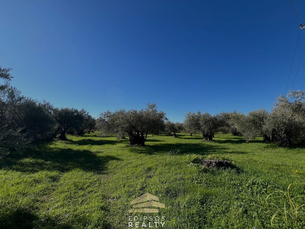 Οικόπεδο 2.079 τ.μ. προς πώληση, Άγιος Παντελεήμων Ιστιαίας