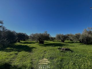 Οικόπεδο 2.079 τ.μ. για πώληση