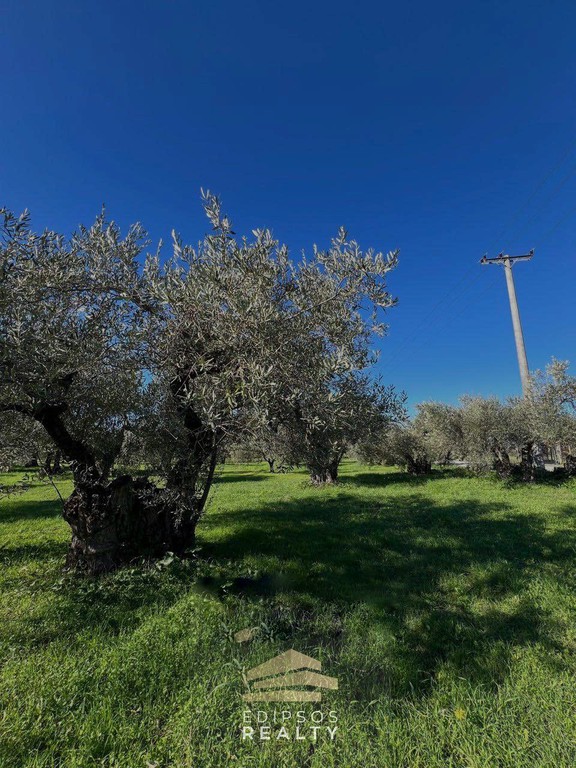 Οικόπεδο 2.079 τ.μ. προς πώληση, Άγιος Παντελεήμων Ιστιαίας