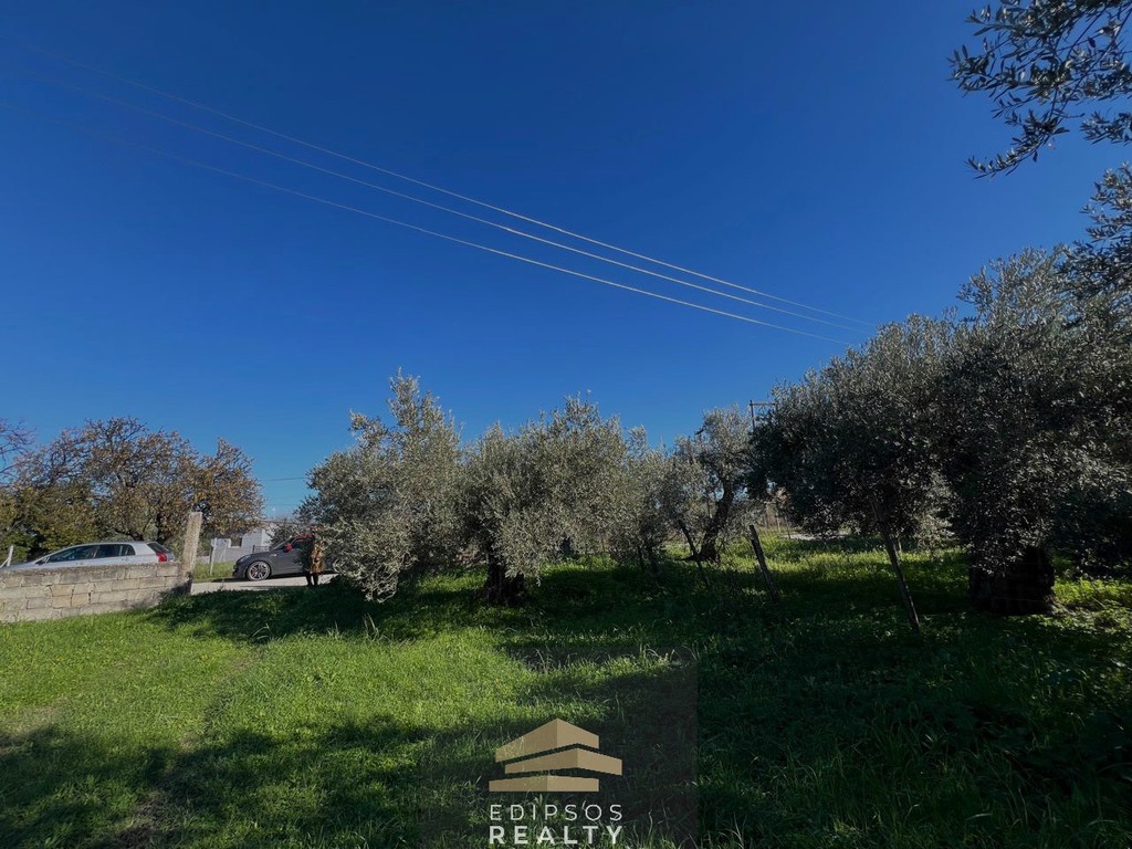Οικόπεδο 2.079 τ.μ. προς πώληση, Άγιος Παντελεήμων Ιστιαίας
