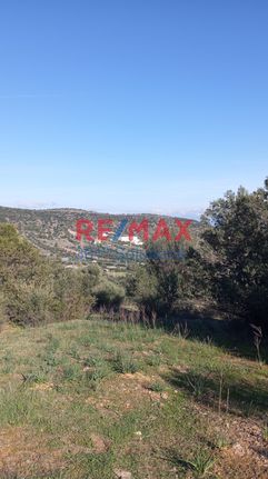 Land plot 10.000 sqm for rent, Athens - East, Paiania